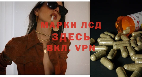 сатива Пролетарск